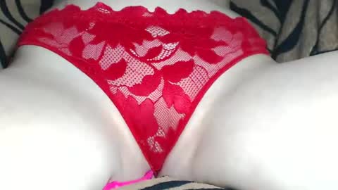Kitten online show from July 20, 3:15 pm