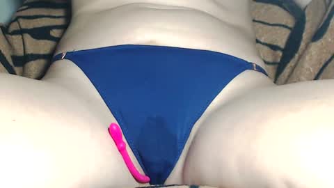 Kitten online show from July 21, 10:50 am