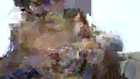 Sharon online show from September 5, 12:10 pm