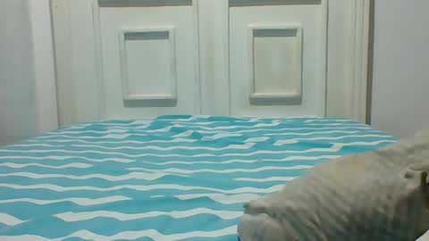 sweetshilah online show from September 6, 12:49 am