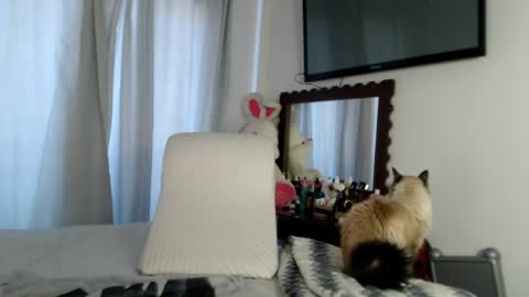 Dianis online show from May 9, 3:58 pm