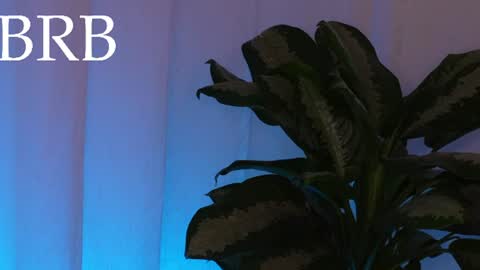 Andy  online show from August 1, 3:23 am