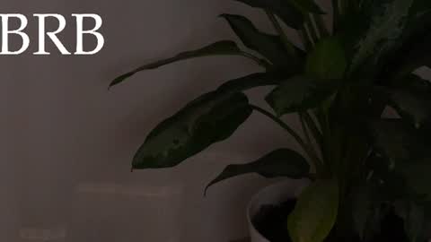 Andy  online show from August 12, 2:58 am