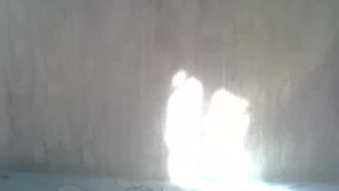 Ble online show from August 12, 12:51 pm