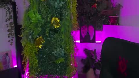 Emily online show from July 21, 3:25 pm