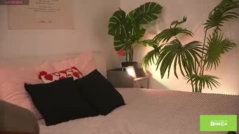 MEI online show from June 20, 12:38 pm