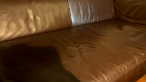 tall_shy_kitty online show from July 4, 4:04 am