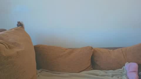 tatiana2224 online show from August 7, 10:26 am