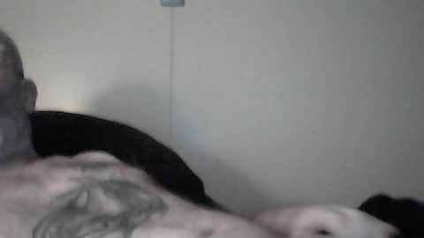 tattedpanther online show from June 17, 3:49 am