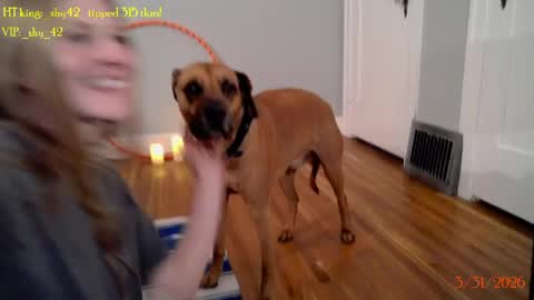 Tatum   online show from April 1, 1:47 am