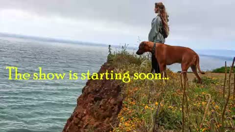 Tatum   online show from August 12, 8:22 pm