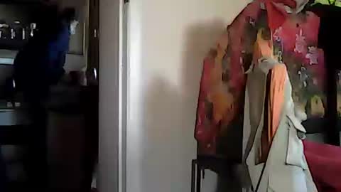 taylor3made online show from August 13, 8:50 am
