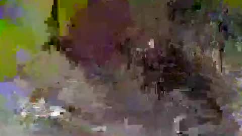 TayyBabyy5 online show from May 5, 8:16 am