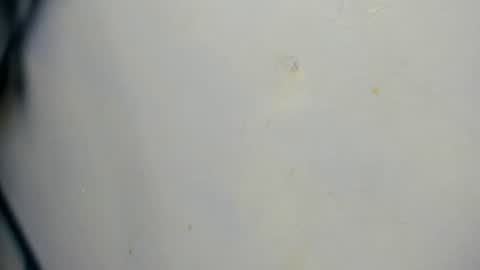 taz_box online show from June 21, 11:49 pm