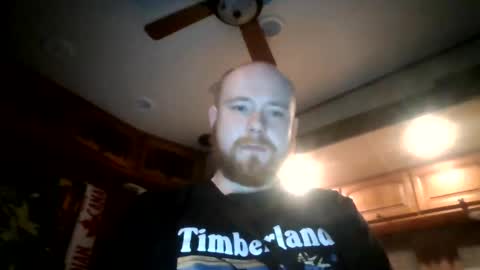 tedingo online show from August 17, 7:02 am
