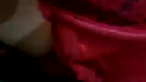 Xyainou online show from July 13, 8:58 pm