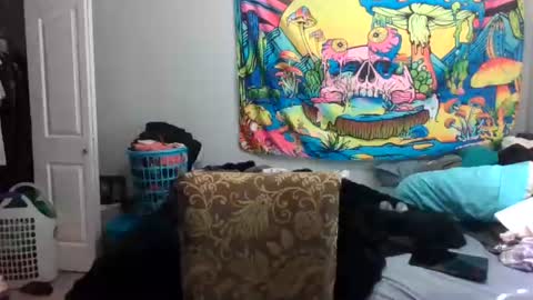 tehkie online show from June 24, 11:07 pm