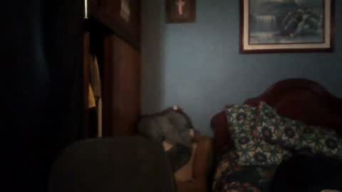 tender_eldelatienda online show from July 29, 2:29 am