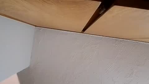 terrance1990__ online show from August 14, 1:09 am