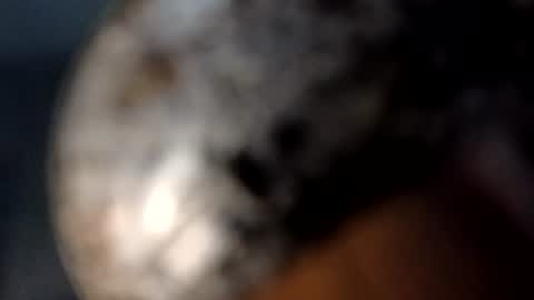 TexasDick online show from July 13, 2:51 am