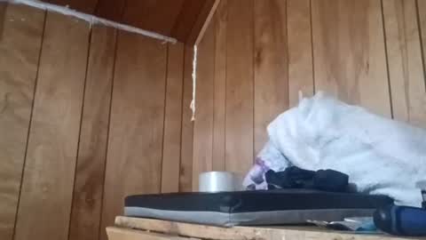 TexasDick online show from July 16, 8:15 am