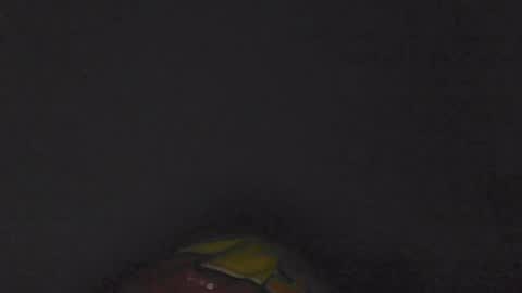 Flexxxmuney online show from September 6, 5:35 am