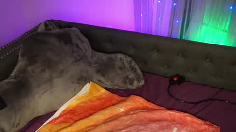 ThatCoupleJX online show from July 24, 7:06 pm