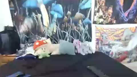 Aimo  Tooth fairy online show from July 16, 3:02 pm