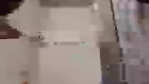 thedailyshower online show from August 4, 4:42 am