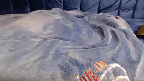 Thewetty online show from April 21, 9:48 am
