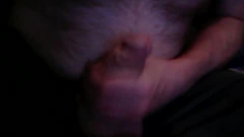 thick9dtf online show from July 3, 1:51 am