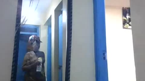thickbotty_ebony online show from August 3, 12:23 pm