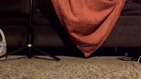 thickmadame28 online show from August 7, 12:10 am