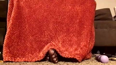 thickmadame28 online show from August 8, 1:49 am