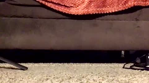 thickmadame28 online show from August 14, 1:31 am