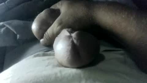 thisloadsforu online show from August 16, 3:43 am