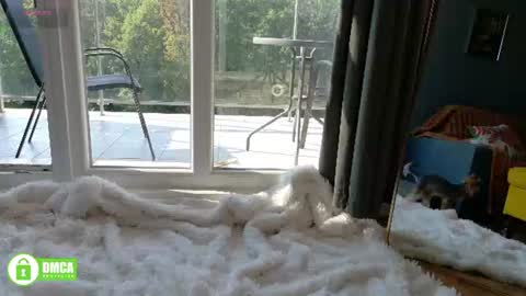 tia_j online show from August 8, 6:46 am