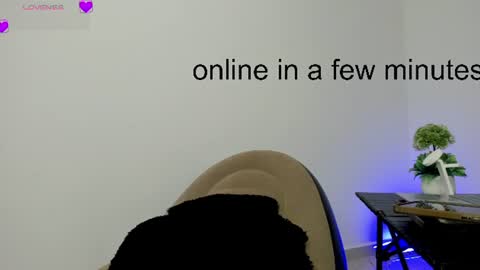 carolina online show from August 2, 10:00 am