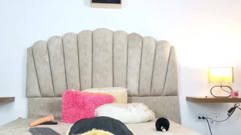 tiny_wiild online show from August 10, 8:10 pm