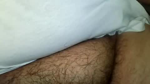 tinypecker6 online show from June 11, 4:24 pm