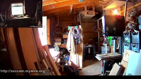 Elkos online show from August 6, 8:13 am