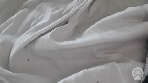 tinytim22992 online show from August 6, 6:40 pm