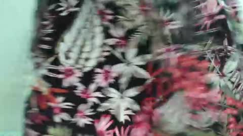 TinyyTina online show from August 13, 6:22 pm