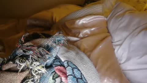 titsmcgeee123 online show from August 6, 5:50 am