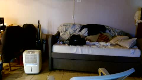 tom112292014 online show from August 14, 1:48 pm