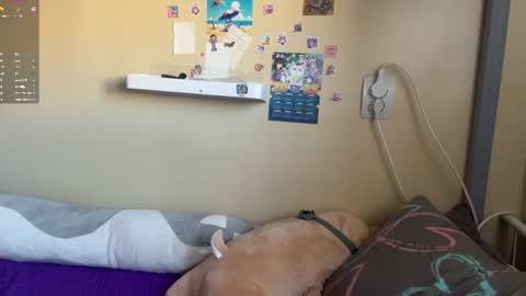 Stella online show from July 15, 7:53 am