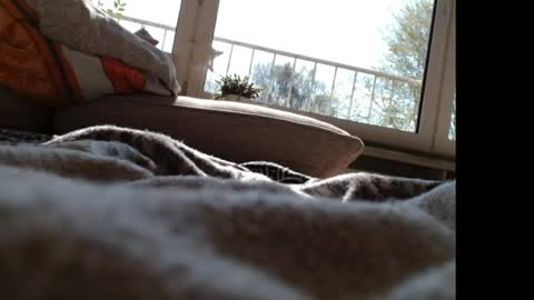 Rene NRW69 online show from April 14, 8:22 am