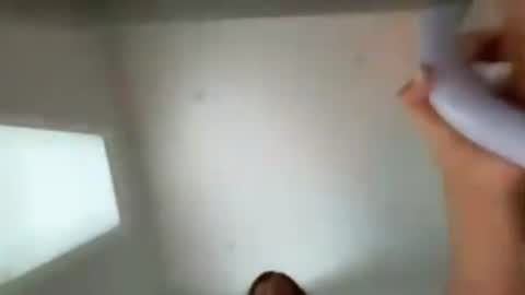 transgirl007 online show from August 7, 10:32 pm