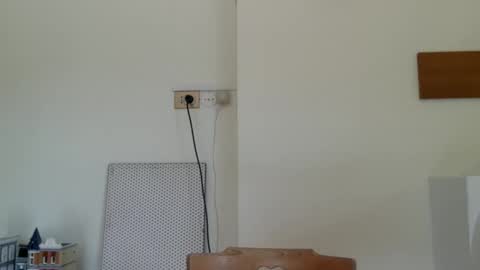 trebo00788 online show from April 19, 12:59 pm