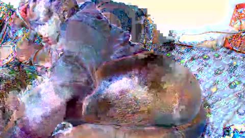 Tracy online show from September 10, 2:35 am